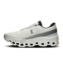 Running Cloudmonster 2 — White Frost